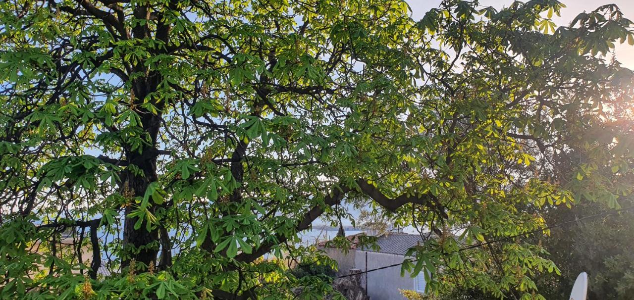 Apartman Lami Rijeka Dış mekan fotoğraf